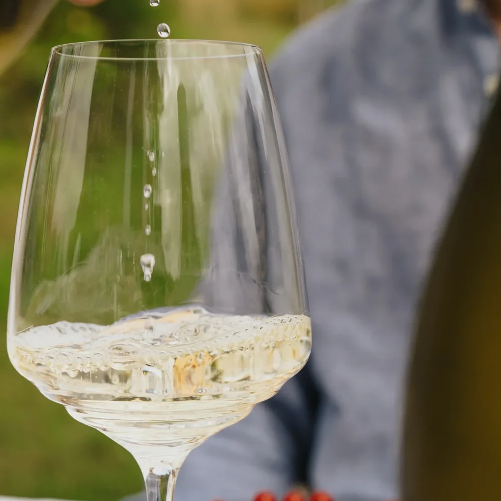 Gallery 1 A.Carpi_lifestyle - 31 (2)