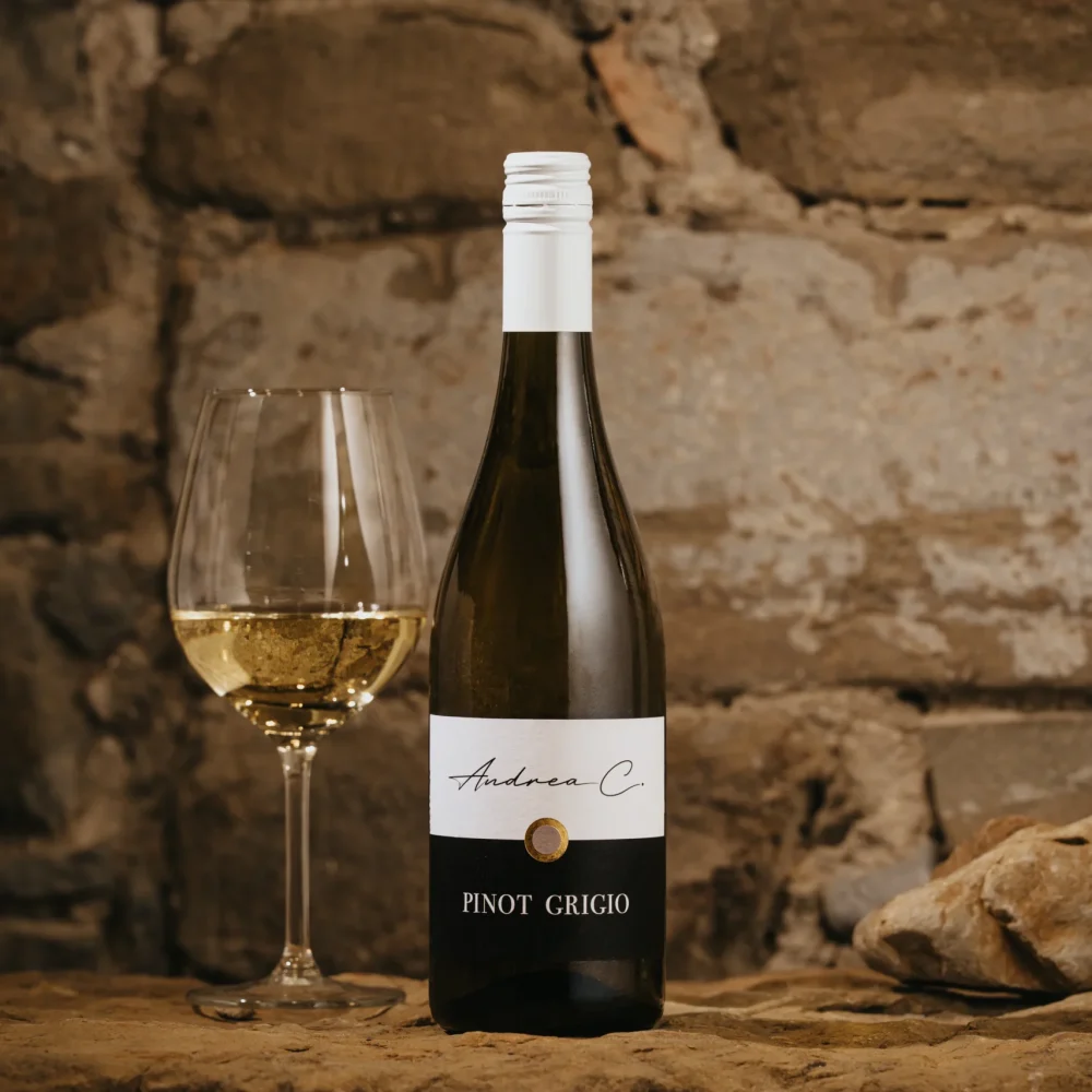 Gallery 4 A.CARPI_stilllife - 12